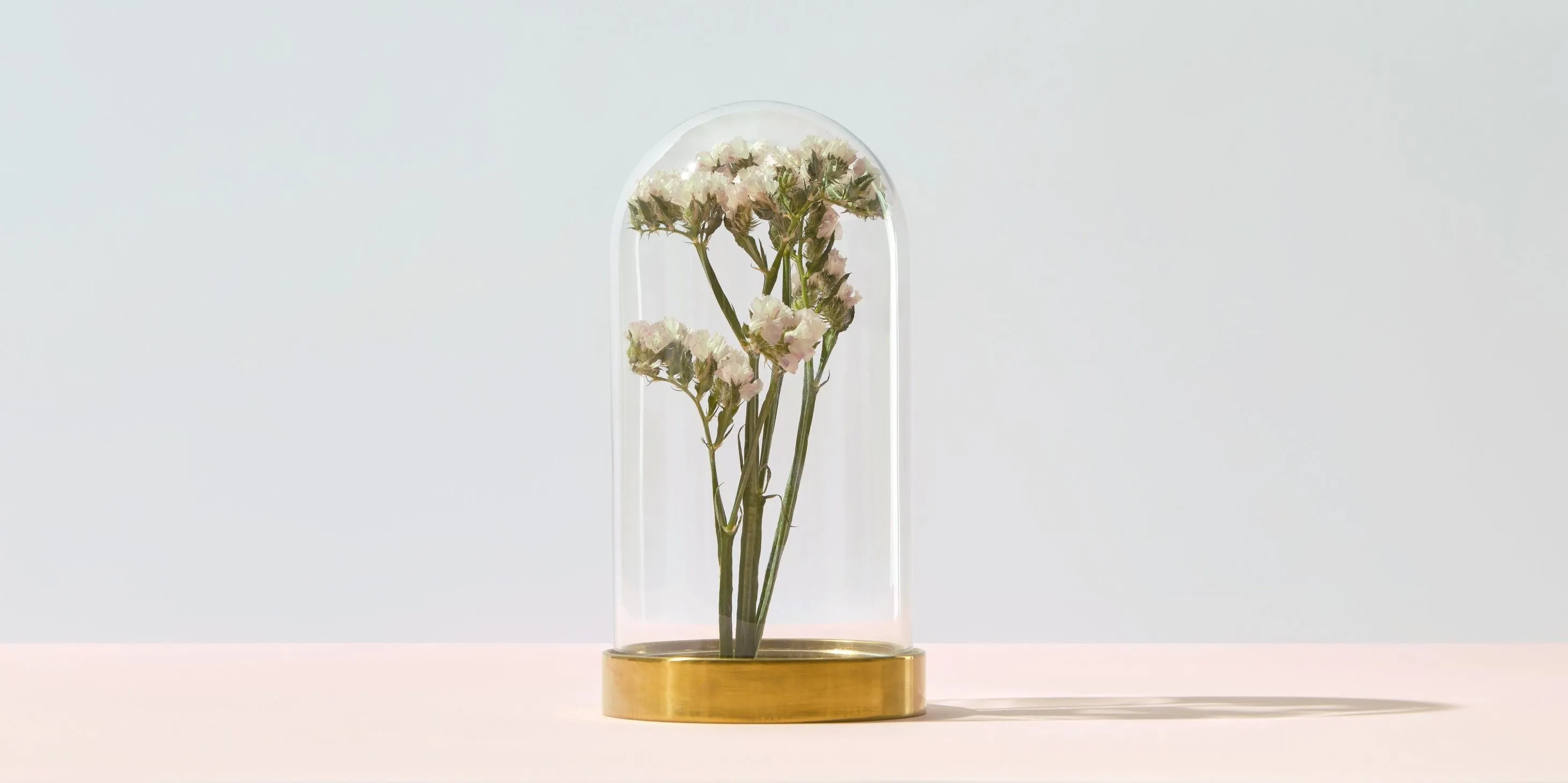 Flower under glass dome