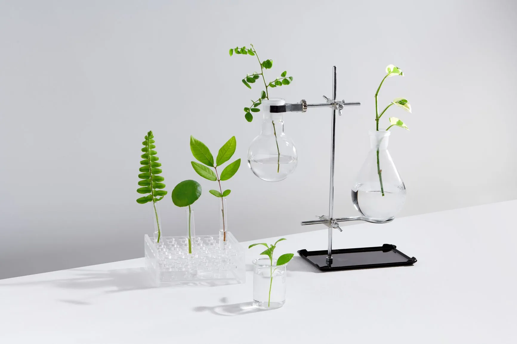 How is Fertility Evaluation Done? A Step-by-Step Guide