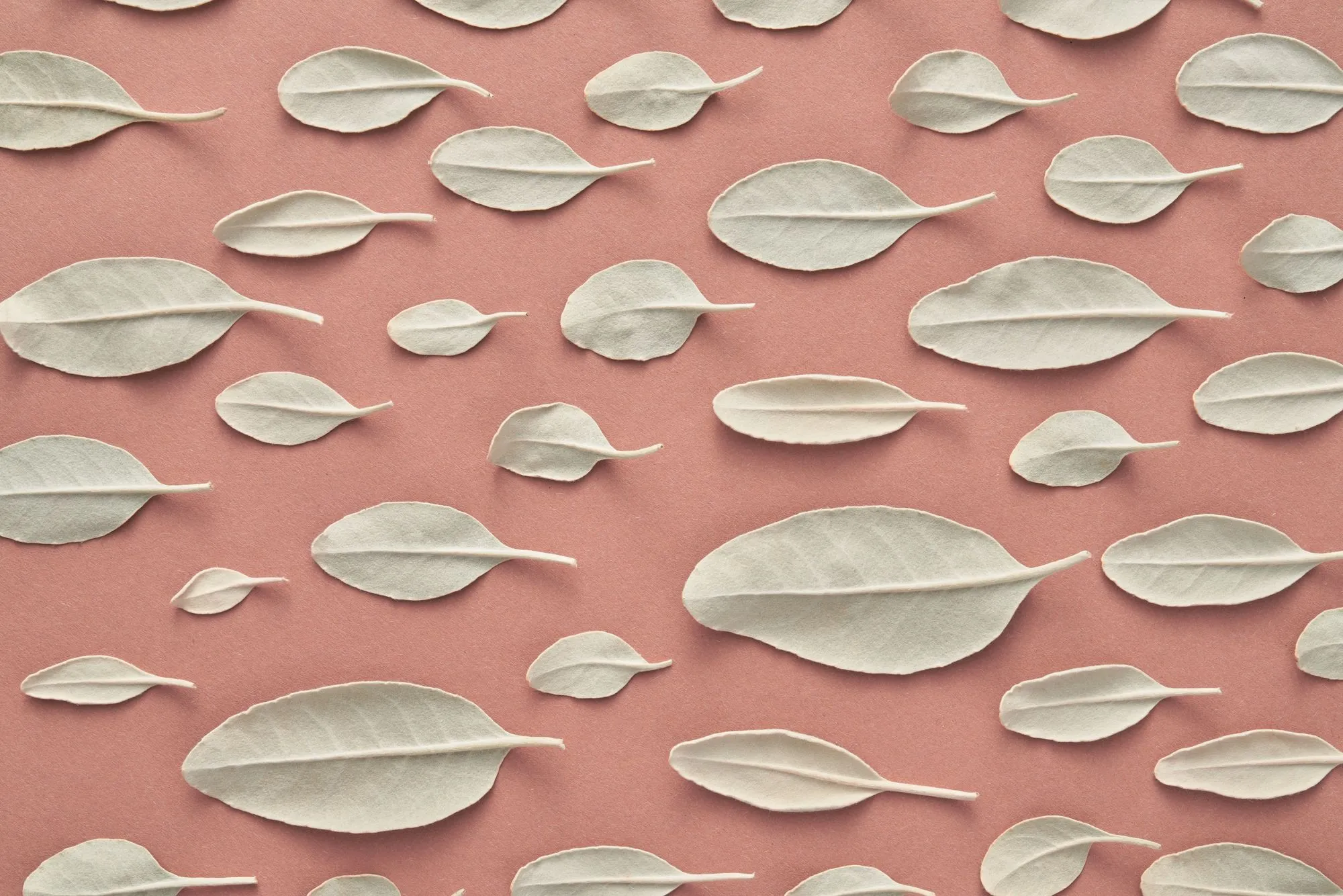 Male Fertility Testing: What to Expect During a Semen Analysis