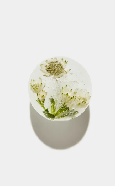 Flowers in a glass dome.