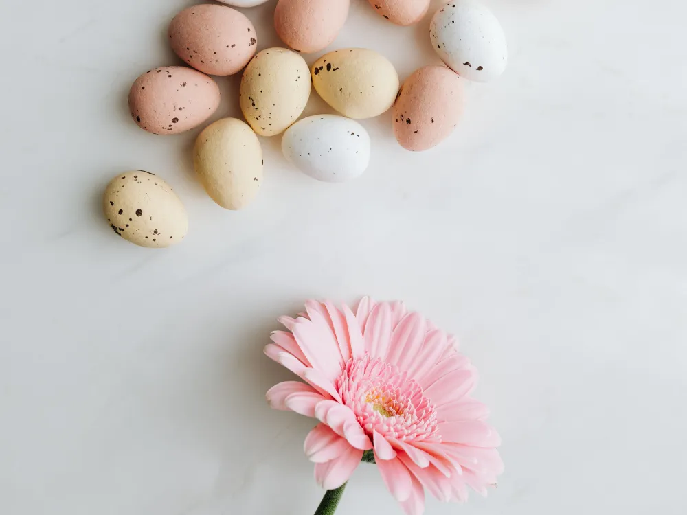 Does Egg Donation Affect Future Fertility? What the Research Really Shows